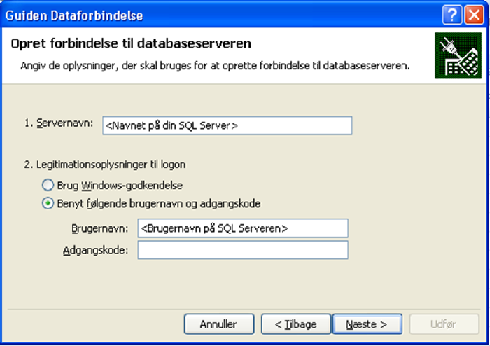 Brug Af Datavarehus Views Naeste
